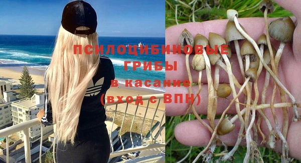 прущий лед Алзамай
