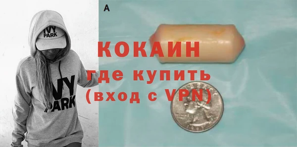 прущий лед Алзамай