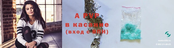 ГАЛЛЮЦИНОГЕННЫЕ ГРИБЫ Гусь-Хрустальный