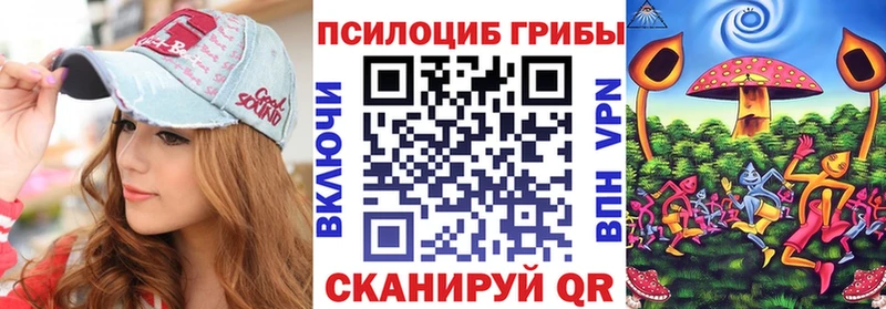 Псилоцибиновые грибы мицелий  Александровское 