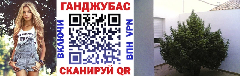 МАРИХУАНА планчик Александровское